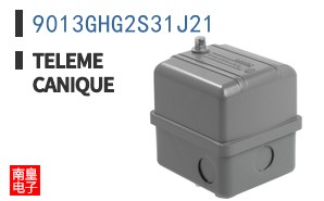 9013GHG2S31J21 ͼƬ