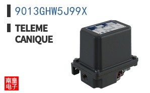 9013GHW5J99X ͼƬ