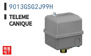 9013GSG2J99H ͼƬ