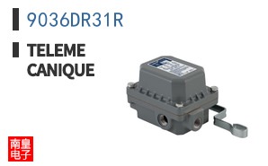 9036DR31R ͼƬ