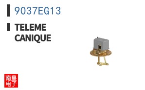 9037EG13 ͼƬ
