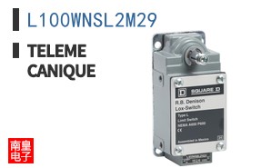 L100WNSL2M29 ͼƬ