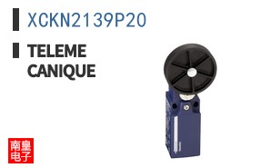XCKN2139P20 ͼƬ