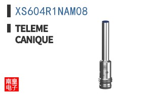 XS604R1NAM08 ͼƬ
