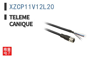 XZCP11V12L20 ͼƬ