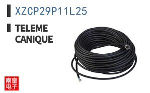 XZCP29P11L25 ͼƬ