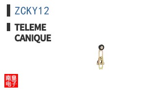 ZCKY12 ͼƬ