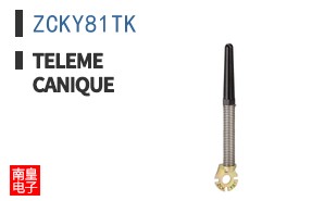 ZCKY81TK ͼƬ