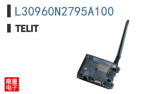 L30960N2795A100 ͼƬ