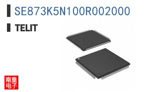 SE873K5N100R002000 ͼƬ