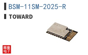 BSM-11SM-2025-R ͼƬ