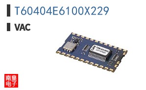 T60404E6100X229 ͼƬ