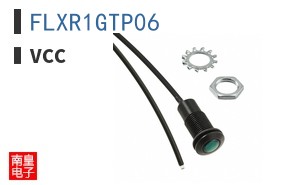 FLXR1GTP06 ͼƬ