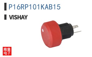 P16RP101KAB15 ͼƬ