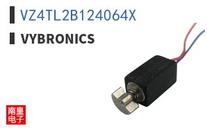 VZ4TL2B124064X ͼƬ