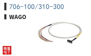 706-100/310-300 ͼƬ
