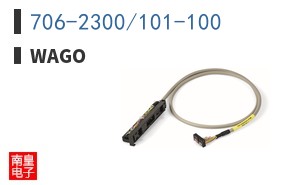 706-2300/101-100 ͼƬ