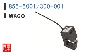 855-5001/300-001 ͼƬ