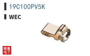 19C100PV5K ͼƬ