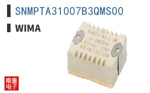 SNMPTA31007B3QMS00 ͼƬ
