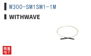 W300-SM1SM1-1M ͼƬ