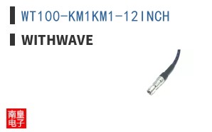 WT100-KM1KM1-12INCH ͼƬ