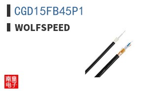 CGD15FB45P1 ͼƬ