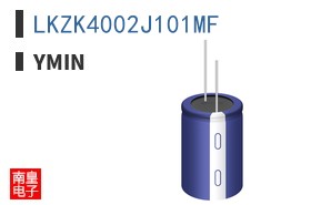 LKZK4002J101MF ͼƬ