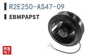 R2E250-AS47-09 ͼƬ