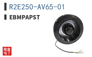 R2E250-AV65-01 ͼƬ