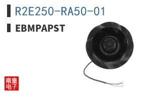 R2E250-RA50-01 ͼƬ