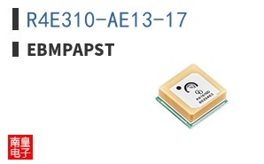 R4E310-AE13-17 ͼƬ