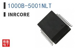 1000B-5001NLT ͼƬ