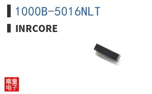 1000B-5016NLT ͼƬ