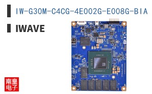 IW-G30M-C4CG-4E002G-E008G-BIA ͼƬ