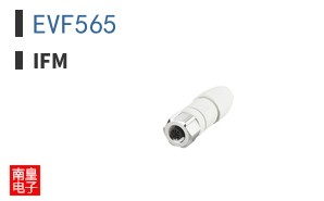 EVF565 ͼƬ