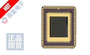 NOIS1SM0250A-HHC 图片