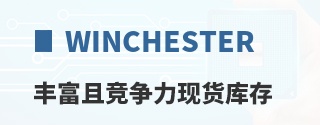 Winchester�ḻ�Ҿ������ֻ����