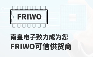 ��Ϊ���м�ֵ��FRIWO������