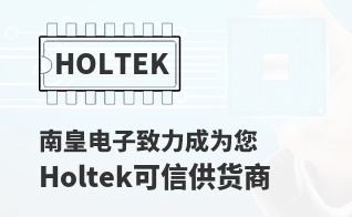 ��Ϊ���м�ֵ��Holtek������